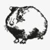 StormIT-Design sticker cavia