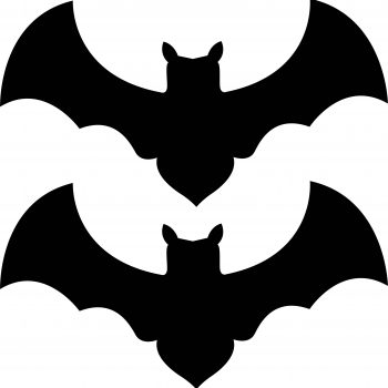 a black bat silhouettes