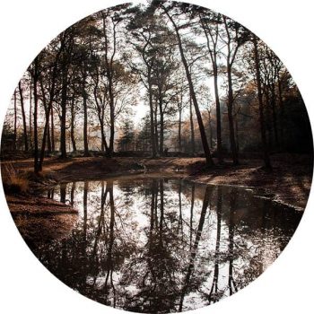 StormIT-Design-Bos-Eese