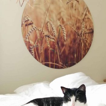 StormIT-Design Muurcirkel granen 2