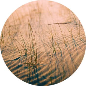StormIT-Design-Helmgras