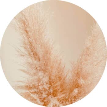 StormIT-Design-Granen