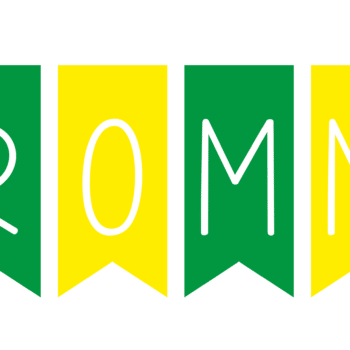 a green yellow and black flag with black text