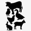 raamsticker boerderijdieren 2