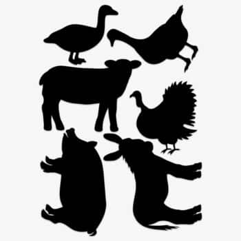 raamsticker boerderijdieren 4