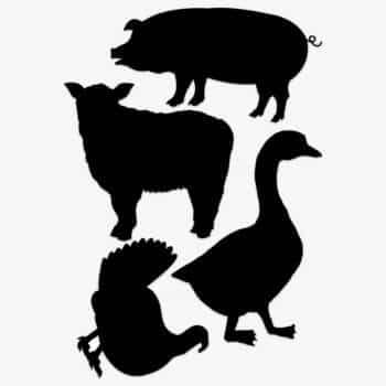 Raamsticker Boerderijdieren 6
