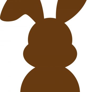 StormIT-Design-Paashaas