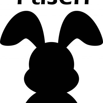 StormIT-Design-Paashaas