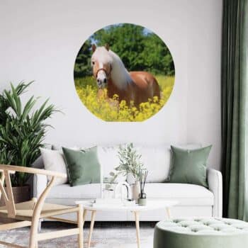 Muurcirkel Haflinger