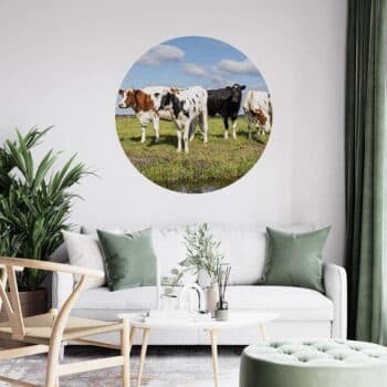 a room with a white couch and a white sofa and a group of cows