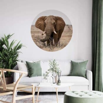 a room with a couch and a picture of an elephant