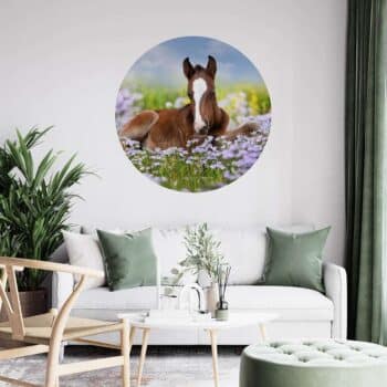 a horse lying in a field of flowers