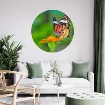 a living room with a white couch and a butterfly on a flower