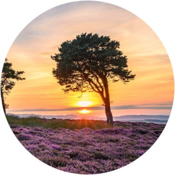 Muurcirkel Zonsondergang PlakHet