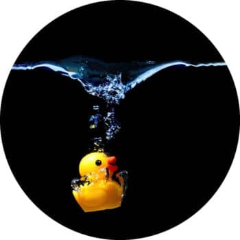 badeendjes muurcirkel2