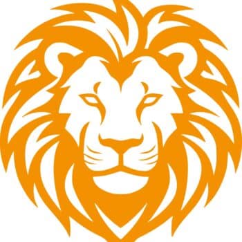 a lion head with mane