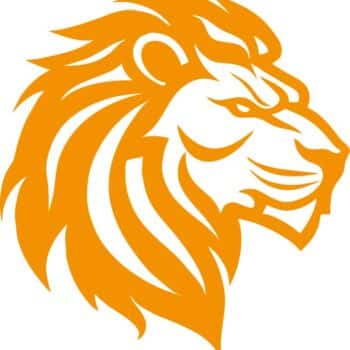 a lion head with a mane