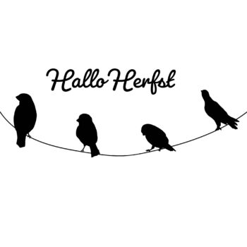 birds with rope silhouette Omgezet