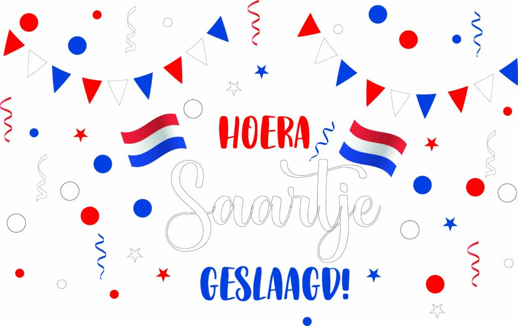 Opvallende geslaagd versiering: grote hoera geslaagd raamsticker