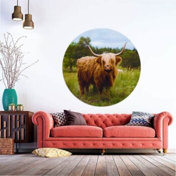 Muurcirkel Schotse Hooglander als rond schilderij voor aan de wand