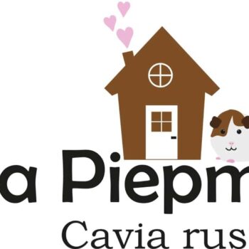 Transparante stickers - villa Piepmuis