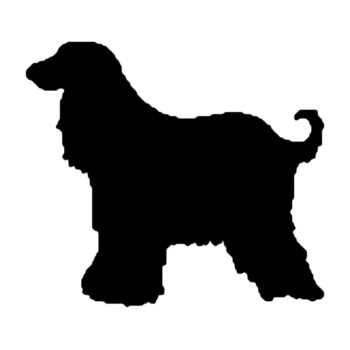 Muursticker Afghaanse windhond ontwerp