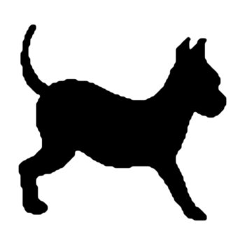Muursticker chihuahua ontwerp