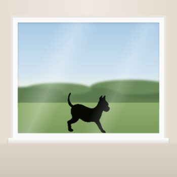 Muursticker chihuahua als raamsticker op het raam