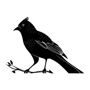 Muursticker kuifvogel ontwerp