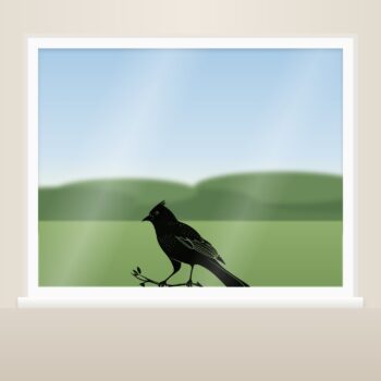 Muursticker kuifvogel als raamsticker op het raam