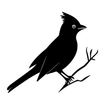 Muursticker kardinaal ontwerp