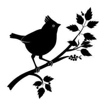 Muursticker kuifvogel op bladertak ontwerp