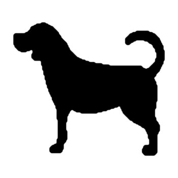Muursticker labrador ontwerp