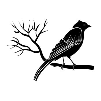 Muursticker vogel met lange staart ontwerp