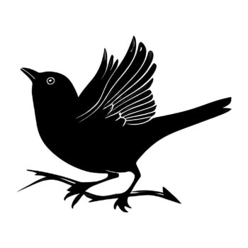 Muursticker vogel met vleugel ontwerp