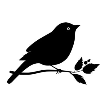 Muursticker vogel op takje ontwerp