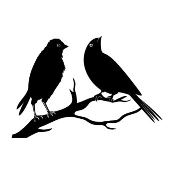 Muursticker vogelpaar op tak ontwerp
