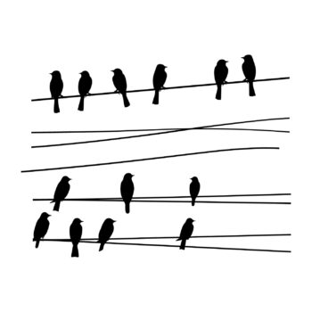 Muursticker vogels op draad ontwerp