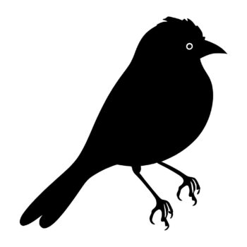 Muursticker vogeltje ontwerp