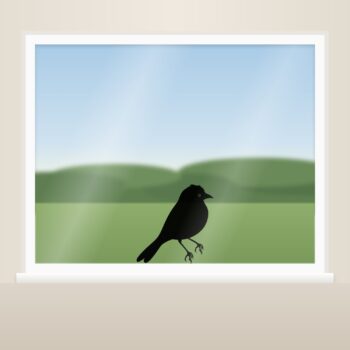 Muursticker vogeltje als raamsticker op het raam