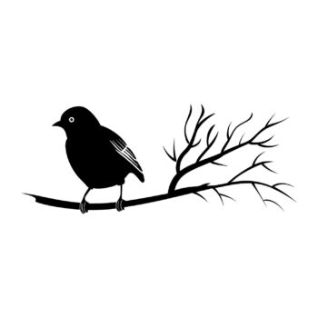 Muursticker vogeltje op lange tak ontwerp