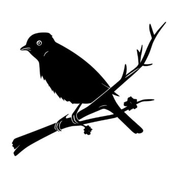 Muursticker vogeltje op tak ontwerp