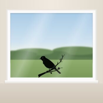 Muursticker vogeltje op tak als raamsticker op het raam
