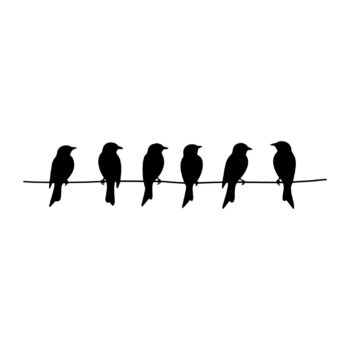 Muursticker vogeltjes op een draad ontwerp