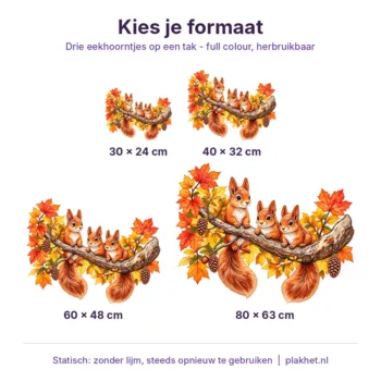 Raamsticker eekhoorntjes in verschillende formaten