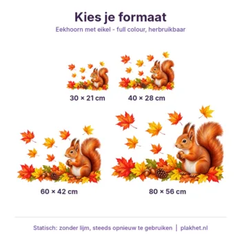 Raamsticker eekhoorn met eikel in verschillende formaten