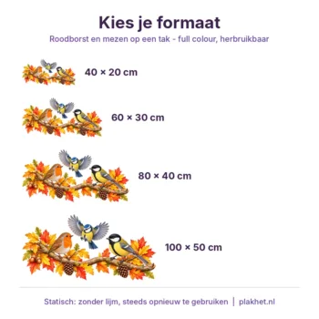 Raamsticker roodborstje in verschillende formaten