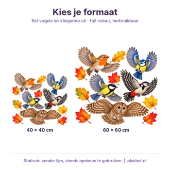 Raamstickers vliegende uil en vogels in verschillende formaten