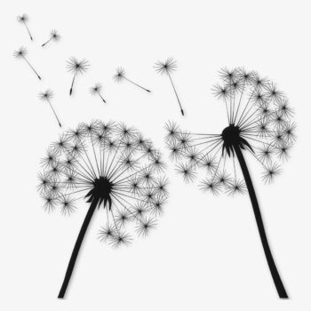 Sticker Paardenbloem pluizenbollen, zwart silhouet ontwerp van PlakHet.nl
