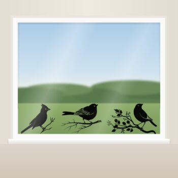 Vogelstickers set als raamstickers op het raam